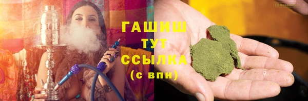 стаф Богородск