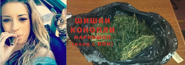 ГАЛЛЮЦИНОГЕННЫЕ ГРИБЫ Сосновоборск