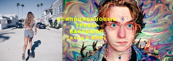 крисы Богданович