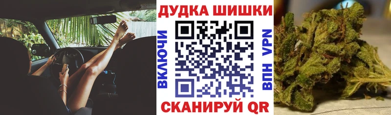 Бошки Шишки гибрид  где купить наркоту  Комсомольск 